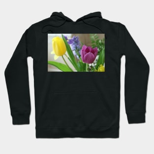 Yellow and Pink Tulips Hoodie